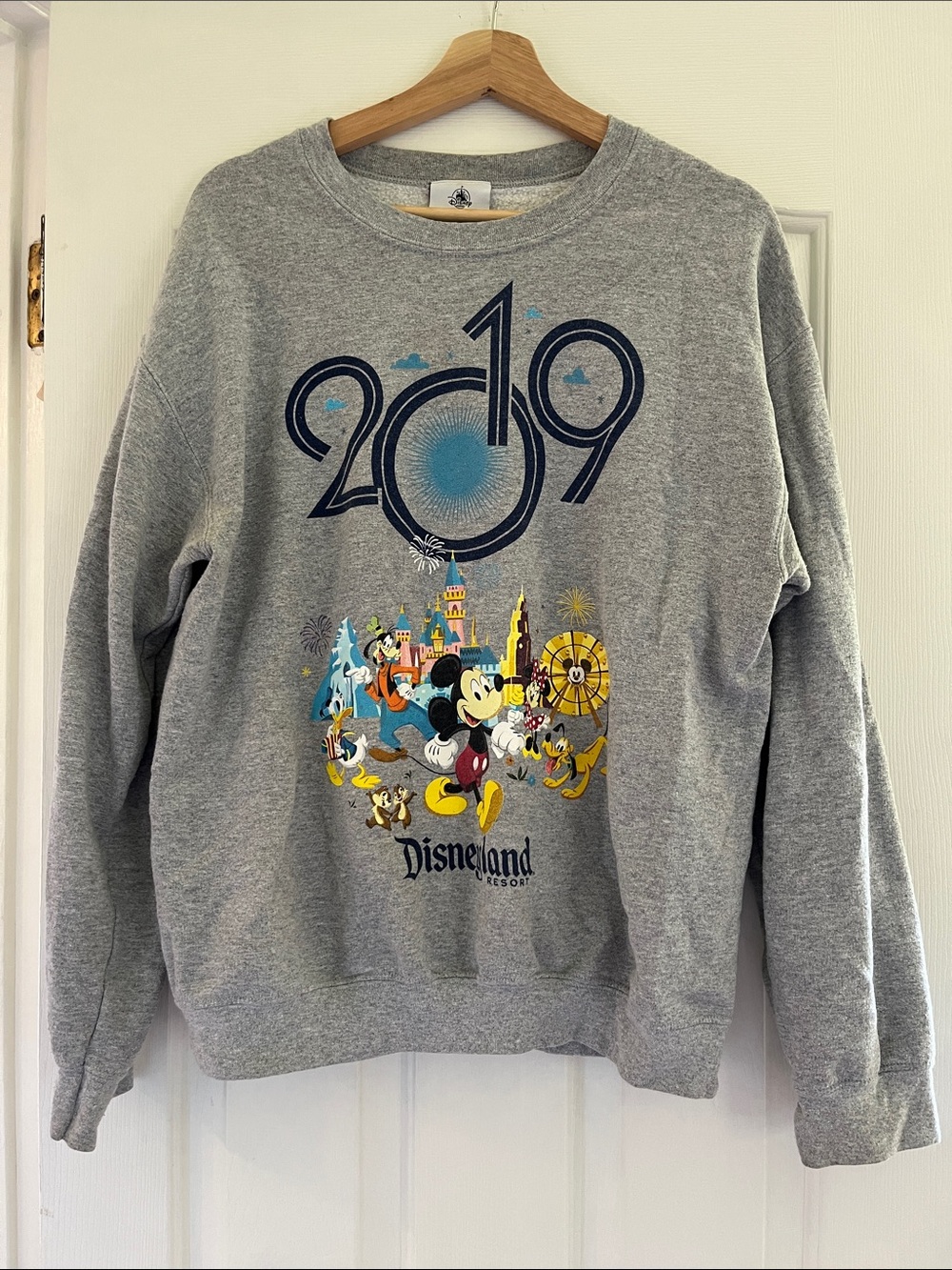 Disney Resort 2019 Grey Graphic Sweatshirt